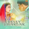 About Belly Bhartar Song