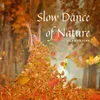 Slow Dance of Nature