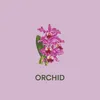 Orchid