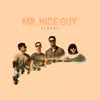 About Mr. Nice Guy Song
