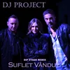 About Suflet vandut Song