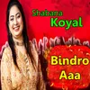 Ghumi Saary Mun Suhni Sindh
