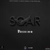 About Soar Song