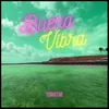 About Buena Vibra Song