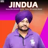 About Jindua Song