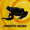 About Jambato Negro Song