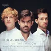 Piano Trio No. 3 in C Major: I. Allegro moderato