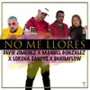 About No Me Llores Remix Song
