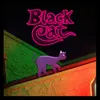 About Black Cat Song