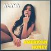 About American Honey Song