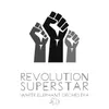 About Revolution Superstar Song