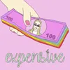 About Expensive Song