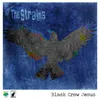 Black Crow Jesus