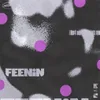 About Feenin Song