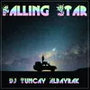 About Falling Star Song