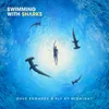 About Swimming With Sharks Song