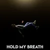 About Hold My Breath Song