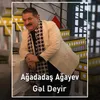 About Gəl Deyir Song