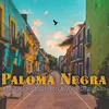 About Paloma Negra Song