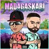 About MADAGASKARI Song