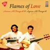 About Flames of Love Song