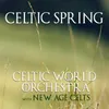 About Celtic Spring Song