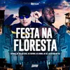About Festa Na Floresta Song