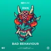 About Bad Behaviour Song