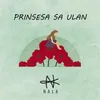 About Prinsesa Sa Ulan Song