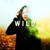 About Wild Song