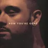 About Now You're Gone Song