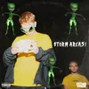 About Storm Area 51 Song