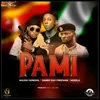 About Pami Song