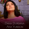 About Ana Yurdum Song