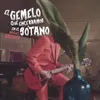 About EL GEMELO QUE ENCERRAMOS EN EL SÓTANO Song