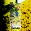 About Forever Song