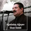 About Süsən Sünbül Song