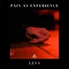 About Pain as Experience Song