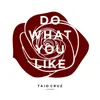 About Do What You Like Song