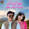 About Dhola Tera Shukria Song