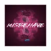 About Misbehave Song