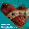 About If You Fail in Love Song