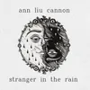 Stranger in the Rain