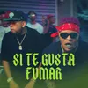 About Si Te Gusta Fumar Song