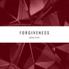 About Forgiveness Song