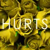 About Hurts Song