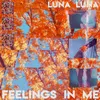 About Feelings in Me Song