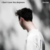 About I Don't Love You Anymore Song