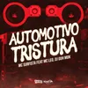 About Automotivo Tristura Song