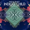 Indigo Soul Theory